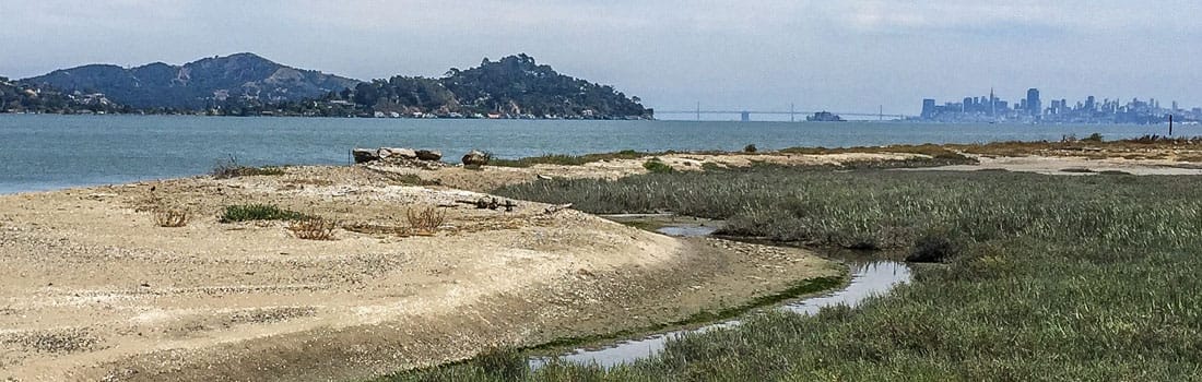 Aramburu island with San Francisco in the background.