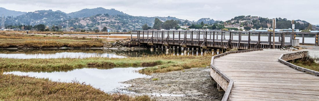 Pathway along the bay and homes.