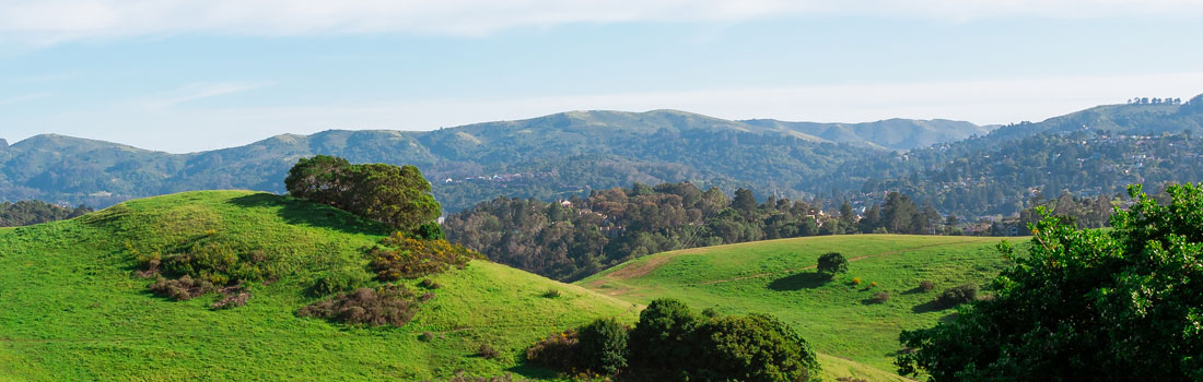 Green hills of Alto Bowl Preserve, with mountains in the background