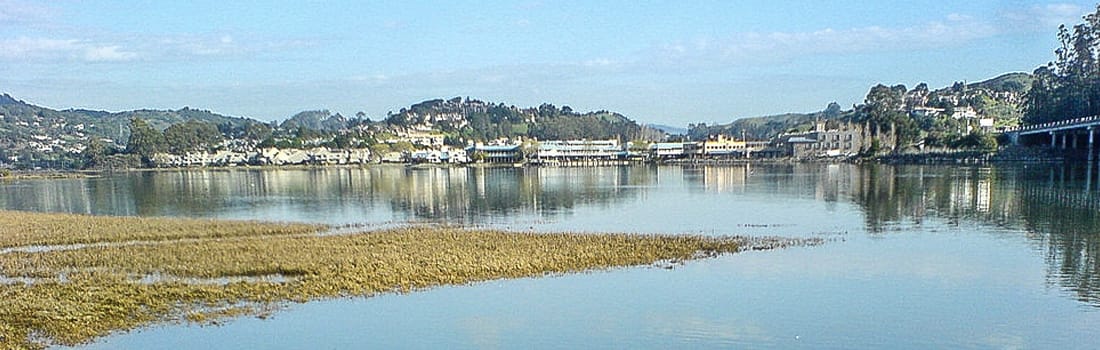 View across Bothin Marsh toward Mill Valley neighborhoods