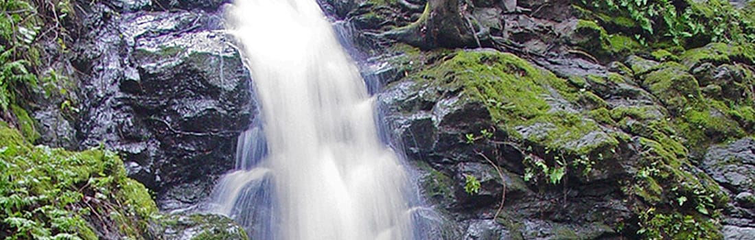 Cascade Canyon waterfall