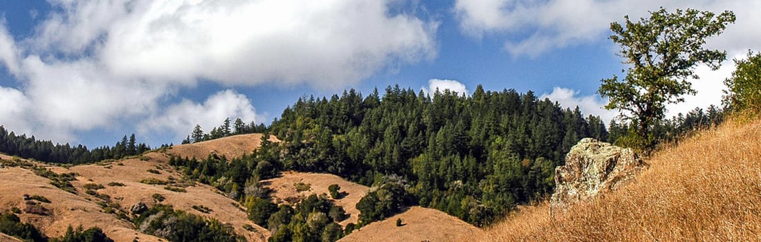 Forested hills of French Ranch Preserve