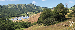 scenic aerial view of Marin open space
