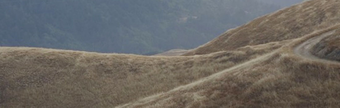 Rolling hills of Marin Open Space